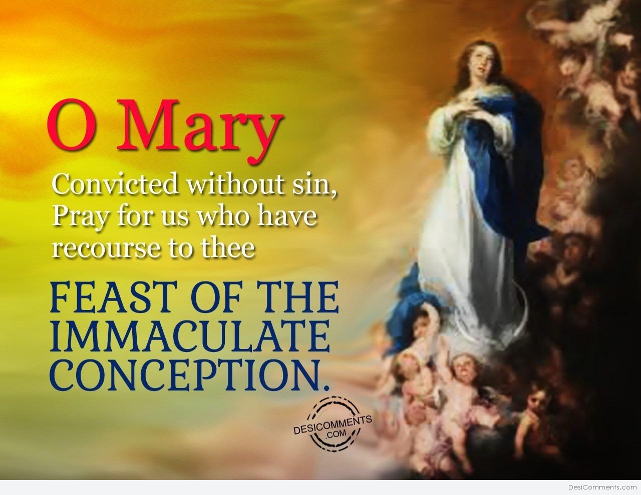 Feast Of The Immaculate Conception everynew